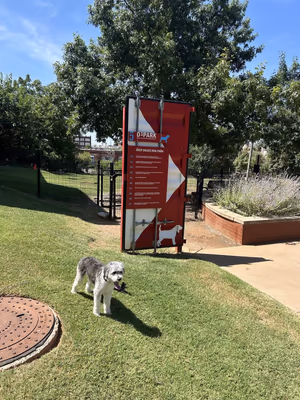 Deep Deuce Dog Park